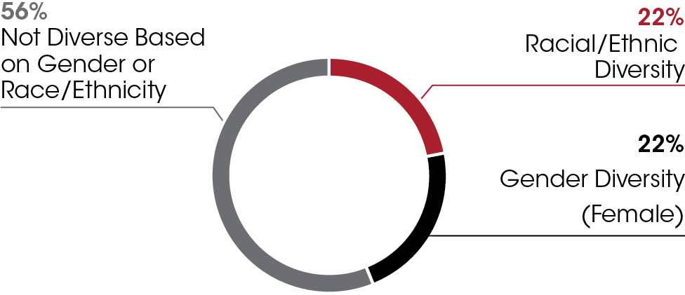 piechart_boardgenderdiversa.jpg