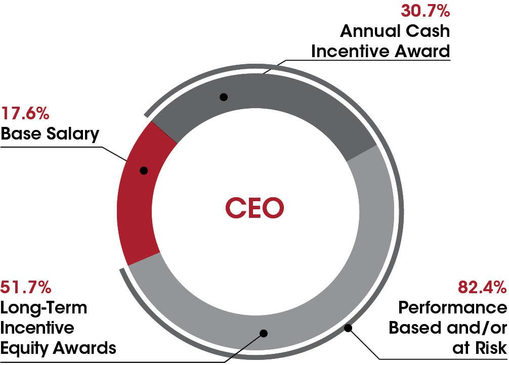 piechart_ceoa.jpg