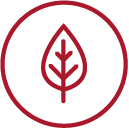 pg8-icon_energy.jpg
